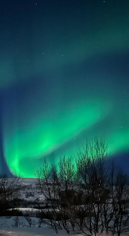 Tromsdalen Aurora Apartments Tromsø Zewnętrze zdjęcie